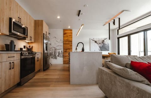 Kitchen or kitchenette, Living room, Seating area, pet friendly