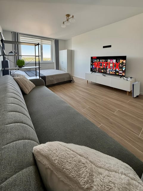 Communal lounge/ TV room, Bed, TV and multimedia, Living room, Photo of the whole room, Seating area, Bedroom
