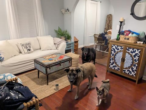 The Lemon Zest Cottage Paws Welcome House in Pensacola Beach