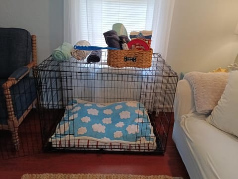 The Lemon Zest Cottage Paws Welcome House in Pensacola Beach