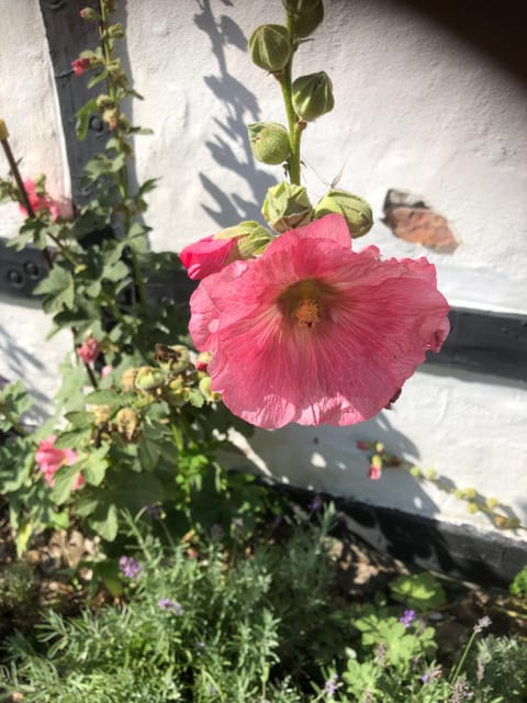 Lykkeholms Bella Vista House in Central Denmark Region