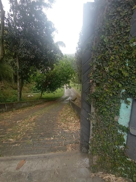 Estúdio Raiz da Mata Apartment in Nova Friburgo