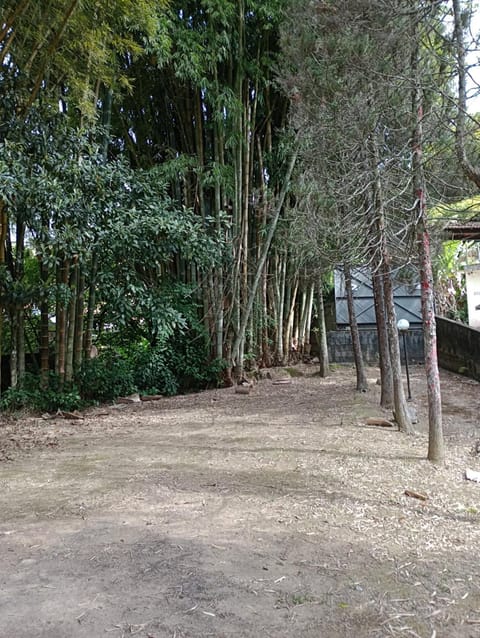 Estúdio Raiz da Mata Apartment in Nova Friburgo