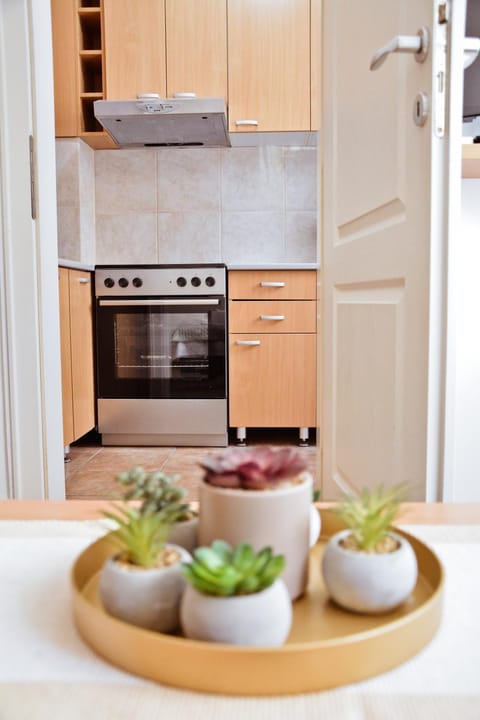 Iris Apartment in Novi Sad