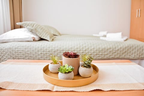 Iris Apartment in Novi Sad