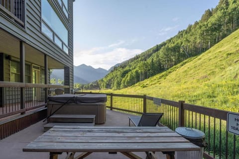 Etta Place 3 Apartment in Telluride