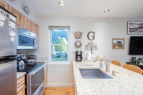 Etta Place 3 Apartment in Telluride