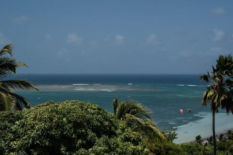 Villa Caïmite Villa in Le Gosier