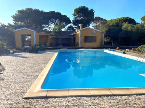 Garden, Swimming pool