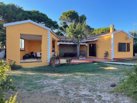 Inner courtyard view