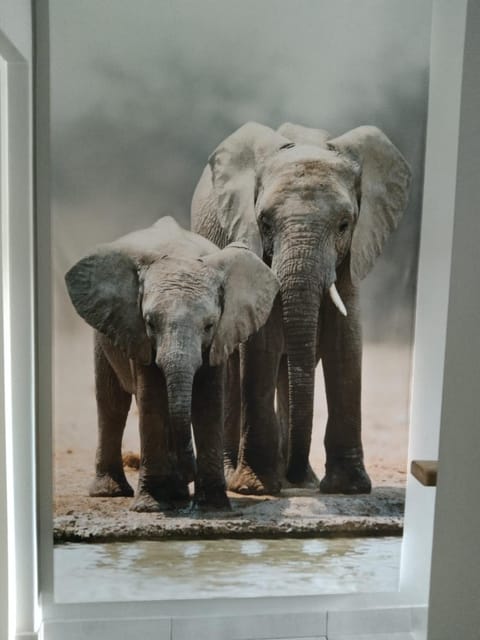 Franschhoek Gem on Van Wijk House in Franschhoek