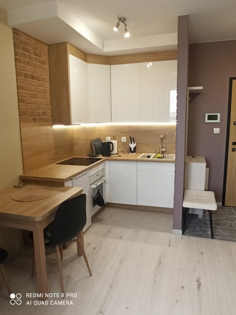 Kawalerka Apartment in Lithuania