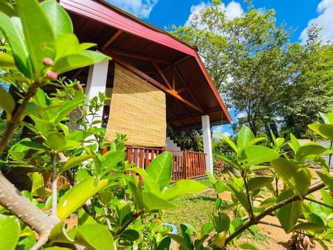 Property building, Spring, Day, Garden, Garden view