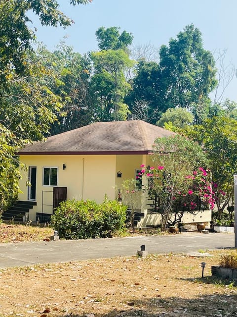 Property building, Natural landscape, Garden