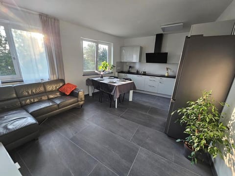 Kitchen or kitchenette, Living room, Seating area, Dining area, oven, stove