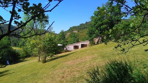 Natural landscape, Garden, Garden view