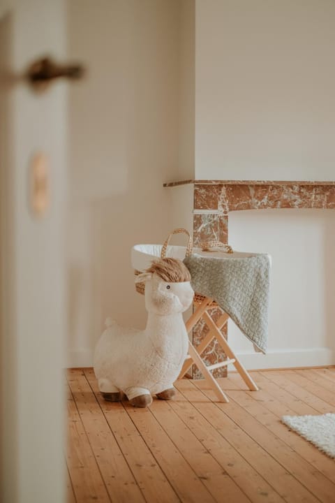 Ruim en charmant verblijf in hartje Ieper Apartment in Ypres