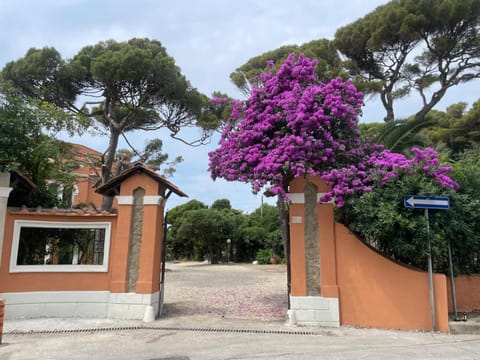 Property building, Spring, Garden