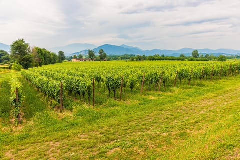 Nearby landmark, Day, Natural landscape