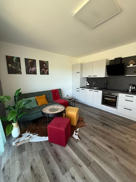 Kitchen or kitchenette, Living room, Seating area, Dining area, oven, stove