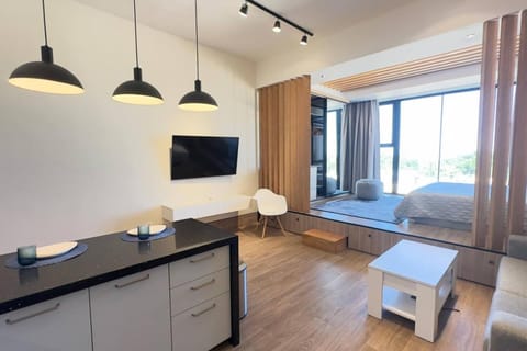 TV and multimedia, Kitchen or kitchenette, Living room, Seating area