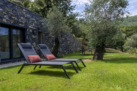 Patio, Garden, Garden view