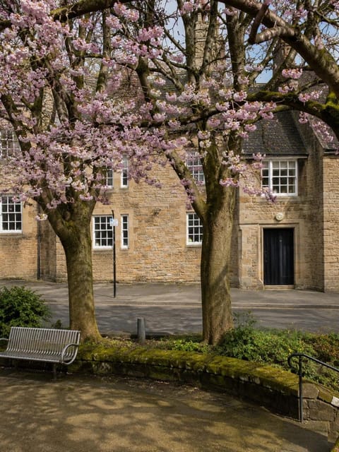 Property building, Spring, Day