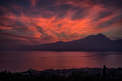 City view, Garden view, Lake view, Landmark view, Mountain view, Pool view
