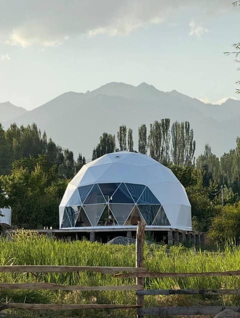 Day, Natural landscape, View (from property/room), Lake view, Mountain view