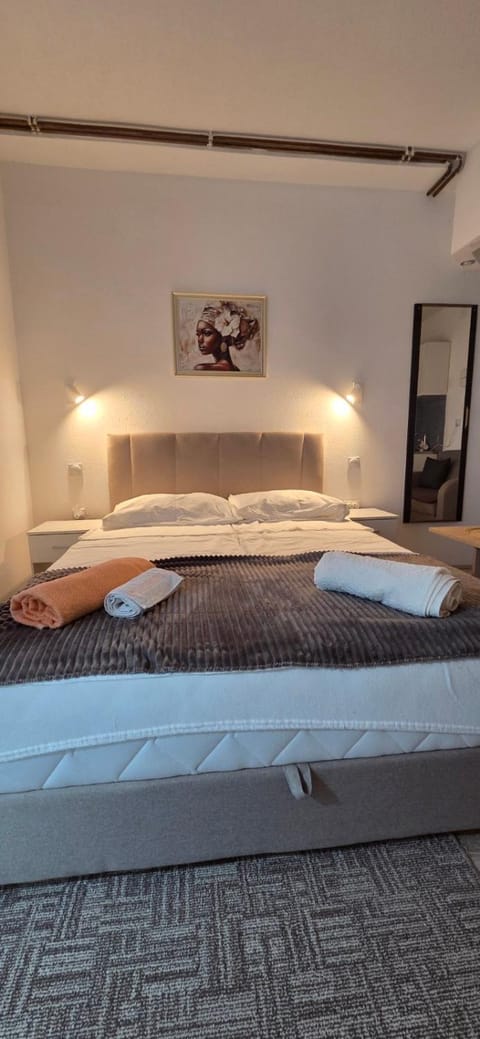 Studio Trajkovic Apartment in Serbia