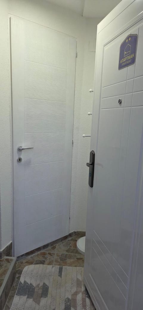 Studio Trajkovic Apartment in Serbia