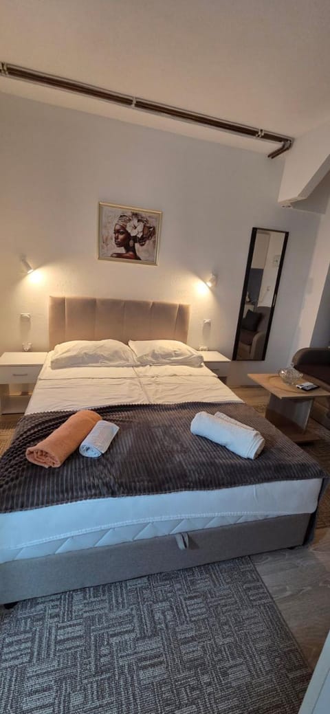 Studio Trajkovic Apartment in Serbia