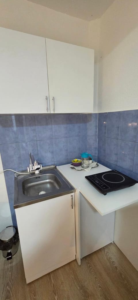 Studio Trajkovic Apartment in Serbia