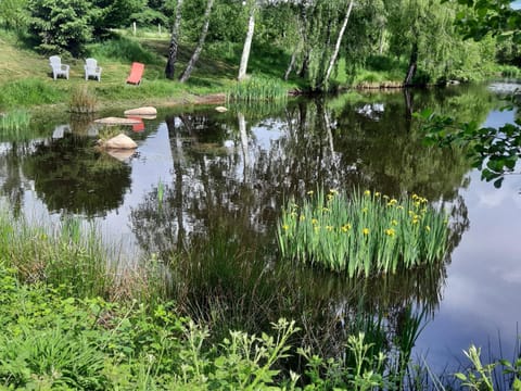 Natural landscape