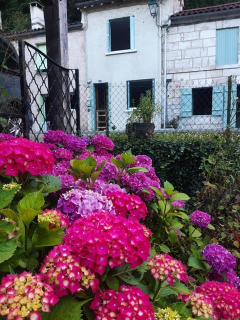 Facade/entrance, Garden