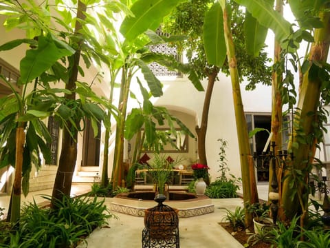 Patio, Garden