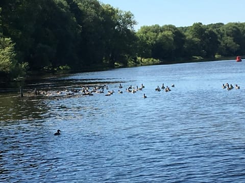 Apartment Lazoroski Arcen Apartment in Arcen