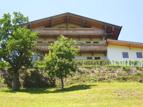 Property building, Summer