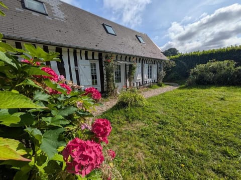 Property building, Day, Garden