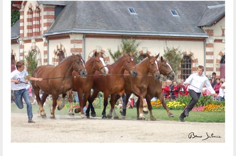 appartement 2 chambres,1 salon avec cuisine Apartment in Saint-Lô