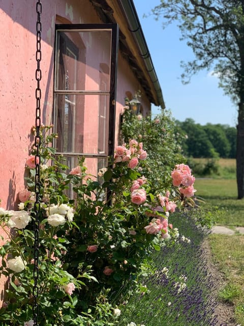 Property building, Day, Garden, Garden view
