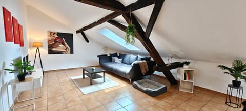 TV and multimedia, Living room, Animals, Pets