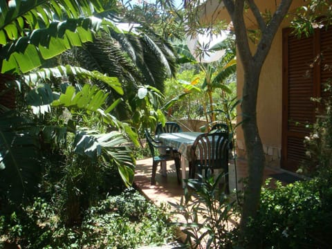 Garden, Balcony/Terrace