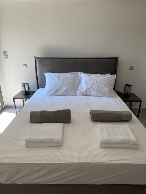 Poseidon 77B Luxury Residences Apartment in Euboea