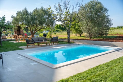 Day, Garden, Swimming pool