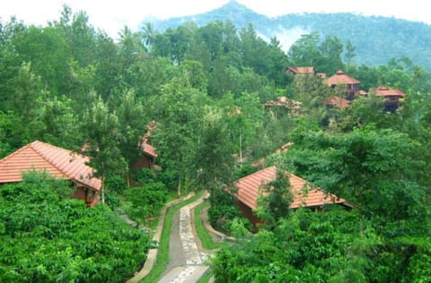Bird's eye view, Garden