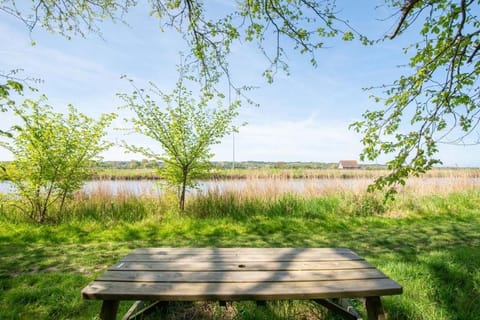 Day, Garden, River view