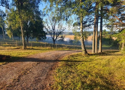 Natural landscape