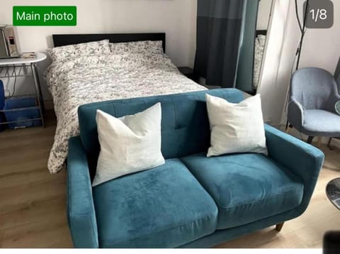 Bed, Living room, Photo of the whole room, Seating area, Bedroom