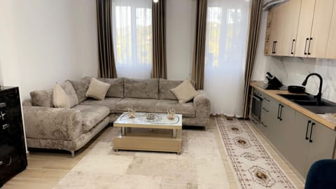 Kitchen or kitchenette, Living room, Seating area, Dining area, stove